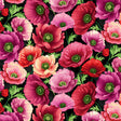 Cotton Print Black Poppies Blissful Blooms Fabric