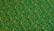 Quilting Cotton Holly Jolly Christmas Metallic Gold Vinery