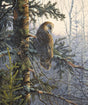 Fabric Panel Boreal Owl 36" David Textiles