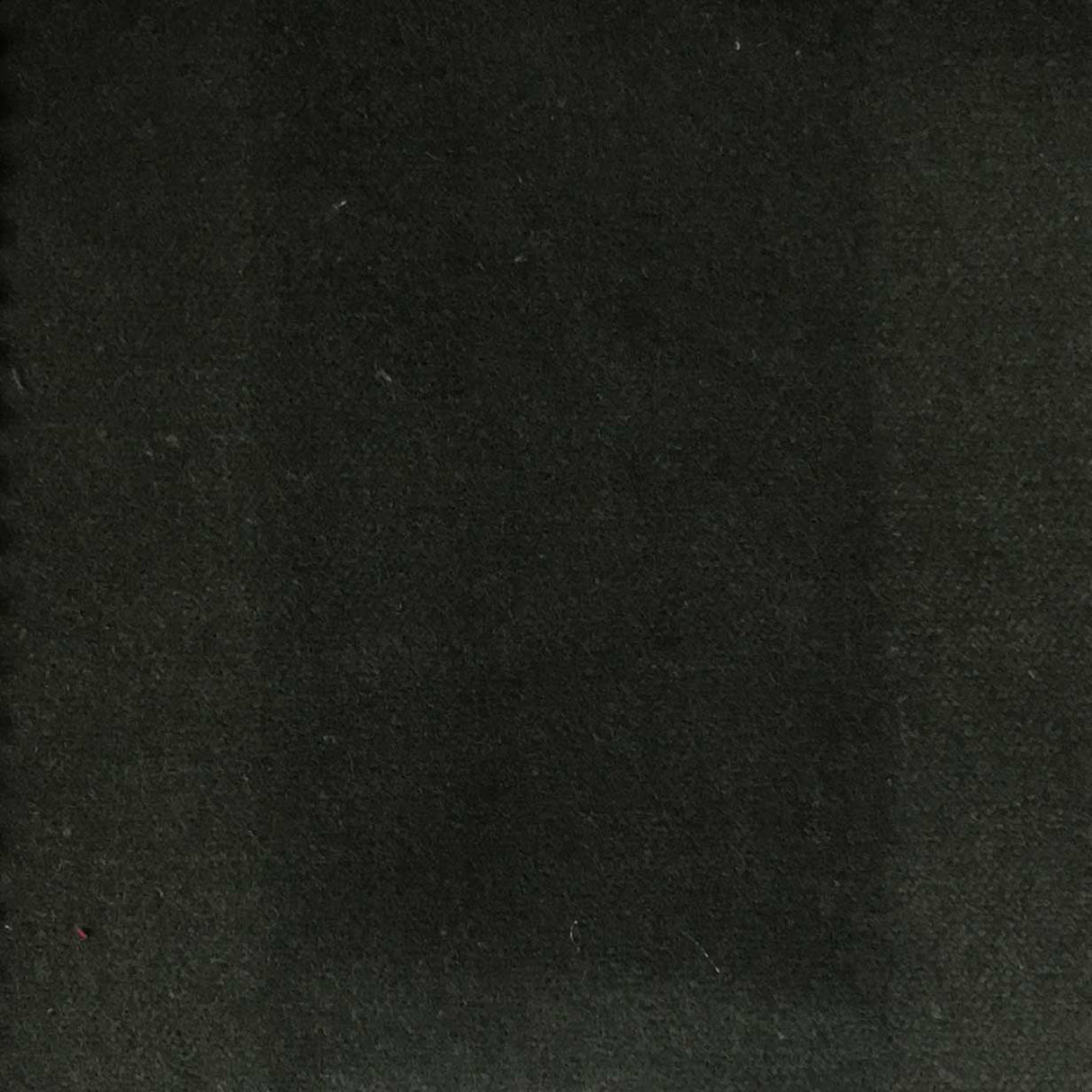 Cotton Velvet Upholstery Fabric Bowie