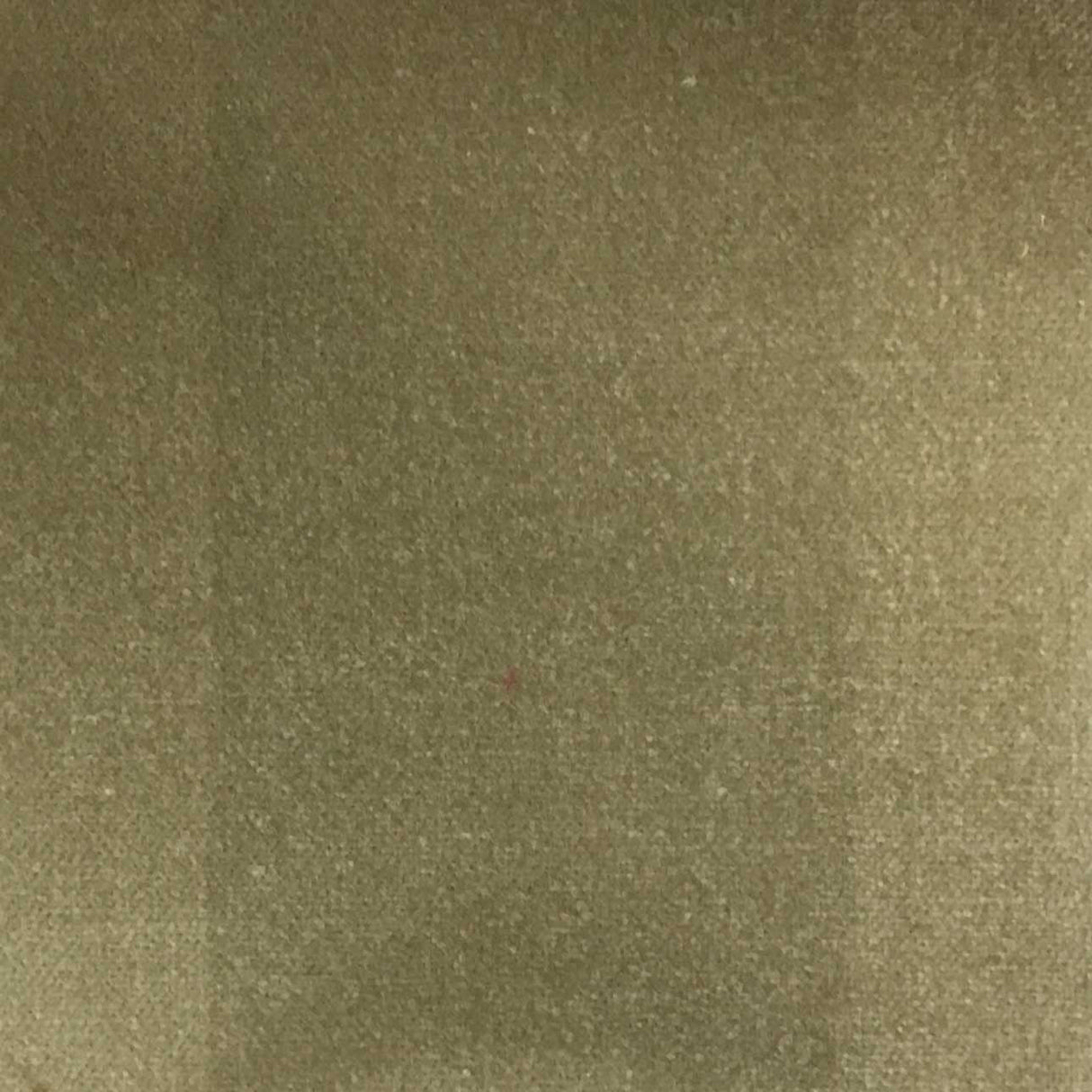 Cotton Velvet Upholstery Fabric Bowie