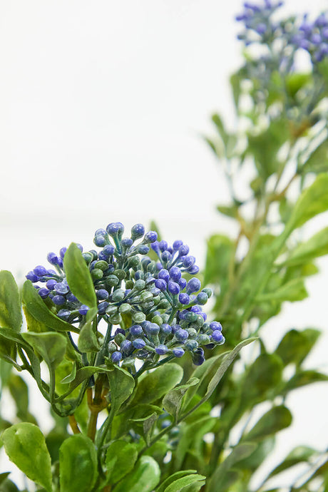 17" Boxwood Berry Bush x9