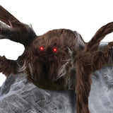 Brown Jumping Spider Decoration