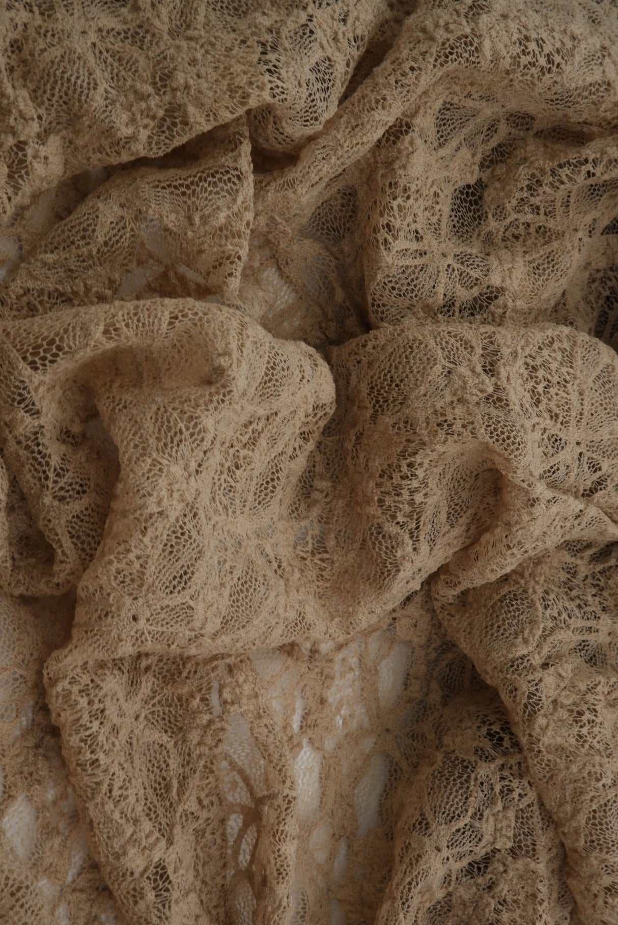 Bubble Ditsy Flower Lace Fabric 52" Wide