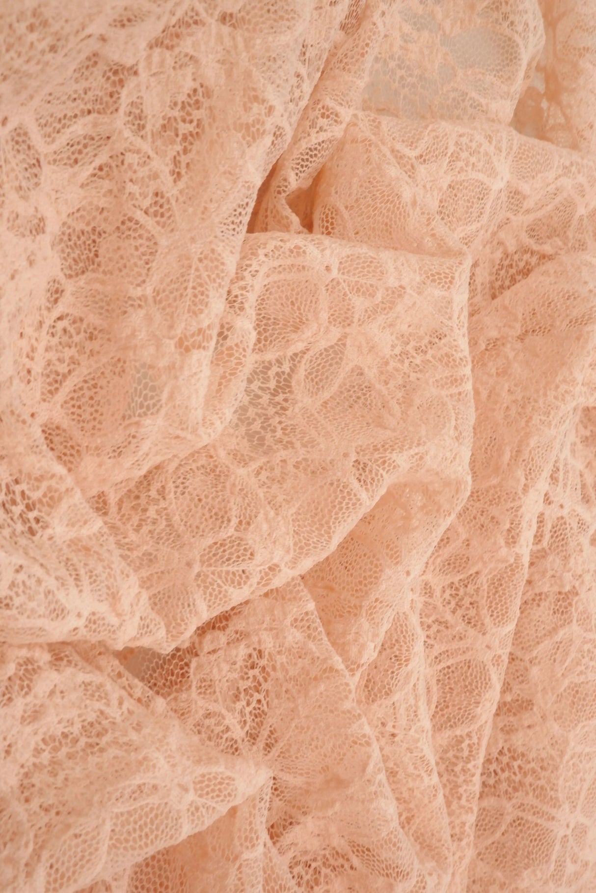 Bubble Ditsy Flower Lace Fabric 52" Wide