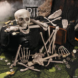 Bulk Bag of Bones Set - 56 Pc.
