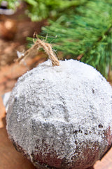 4" Bark with Snow Ball Ornament