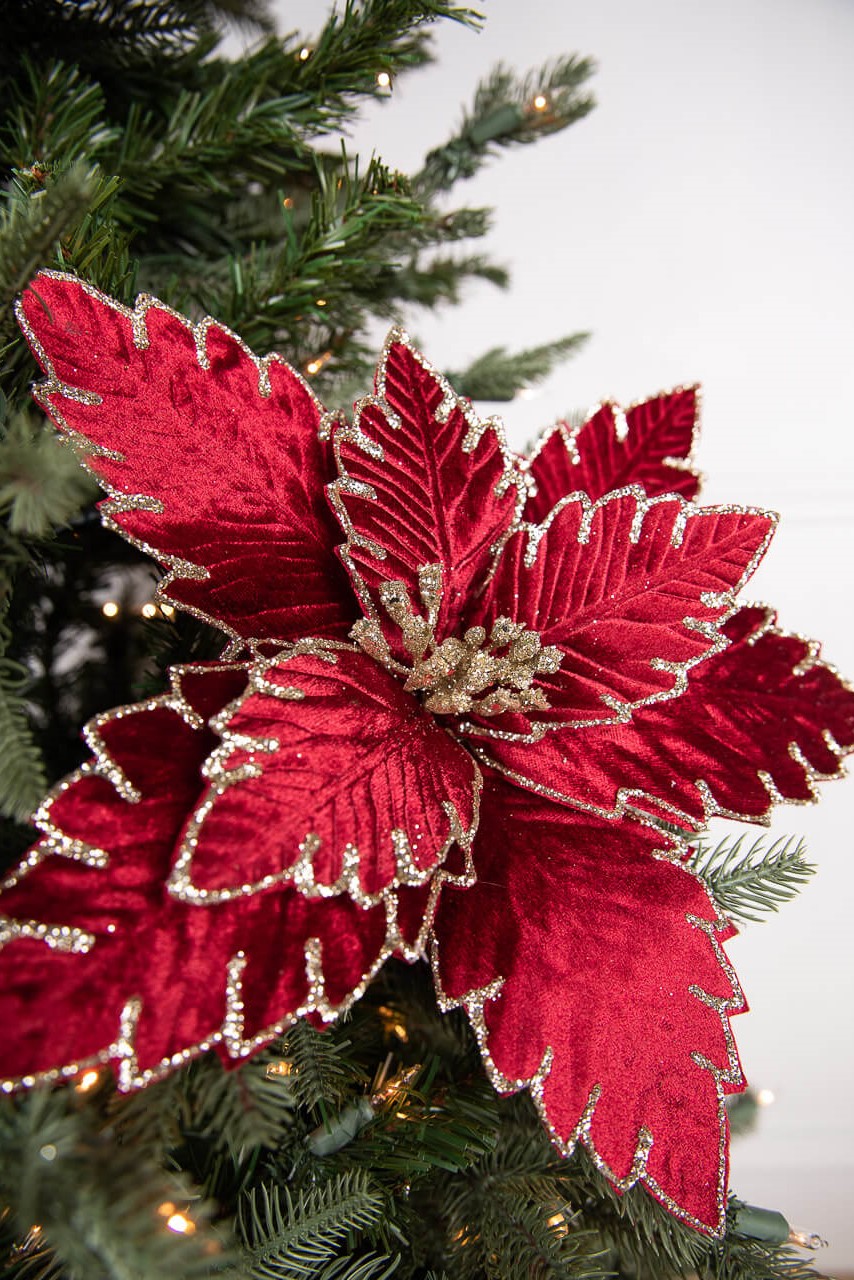 22” x 13.5" Burgundy Poinsettia Stem