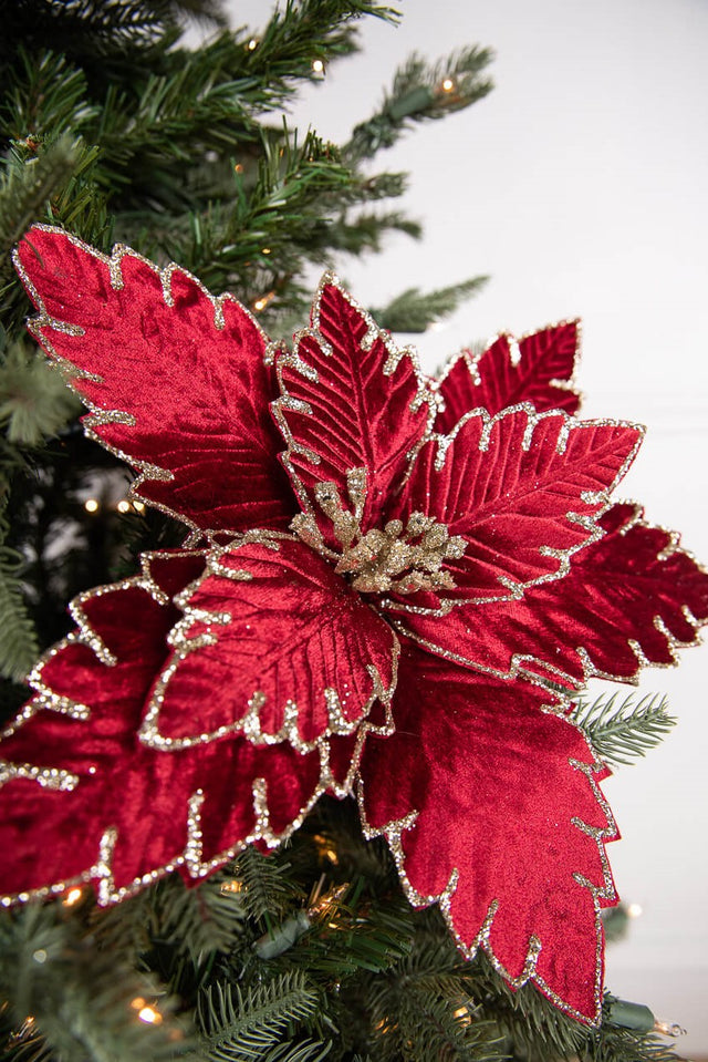 22” x 13.5" Burgundy Poinsettia Stem