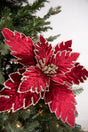 22” x 13.5" Burgundy Poinsettia Stem