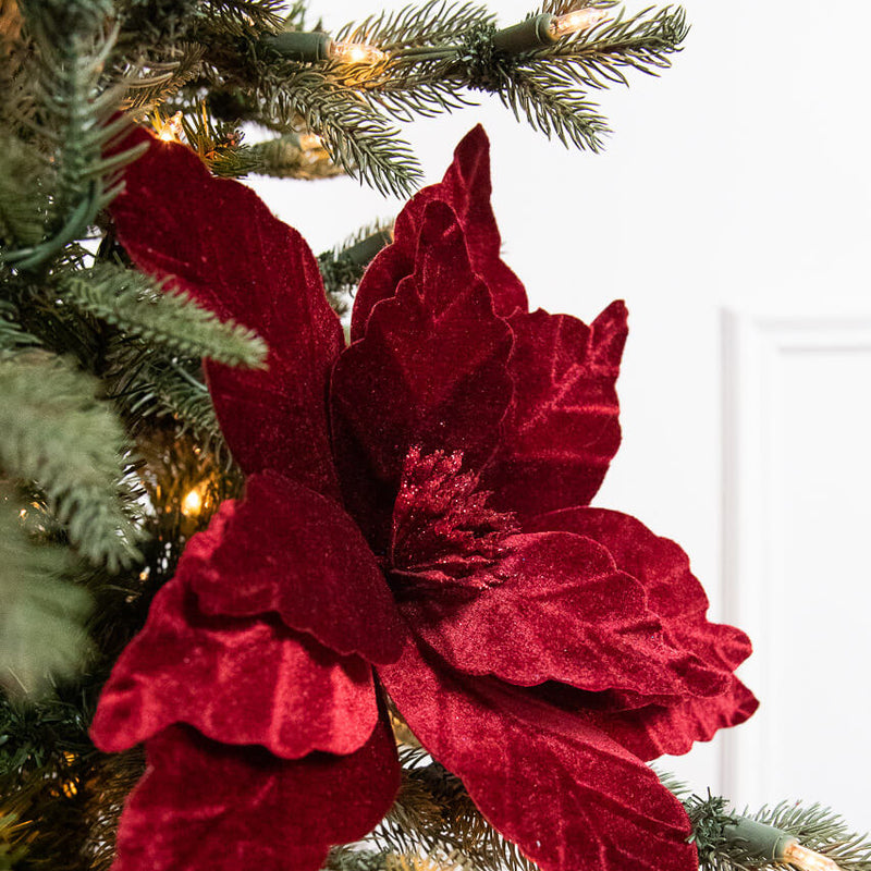 22" x 13" Burgundy Poinsettia Stem