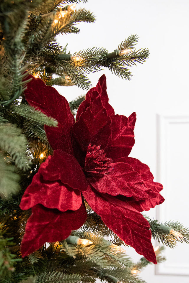 22" x 13" Burgundy Poinsettia Stem
