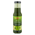 Tooba Mint Chutney 270 Gm