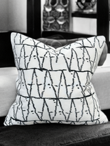 Viva015 White Velvet Pillow - Black Embroidered Abstract, Thick Border, 20" X 20" (1 Piece)