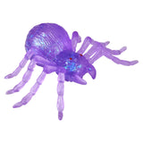 Squeezy Sugar Spider (12 Ct Display)