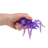 Squeezy Sugar Spider (12 Ct Display)
