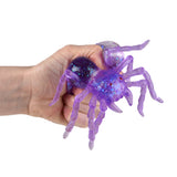 Squeezy Sugar Spider (12 Ct Display)