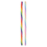 Rainbow Stretchy Noodle (1 DSP)