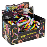 Rainbow Stretchy Noodle (1 DSP)