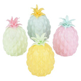 Squeezy Pineapple Fidget Toy (1 DSP)