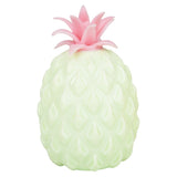 Squeezy Pineapple Fidget Toy (1 DSP)