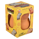Capybara Squish & Stretch Fidget Toy (1 DSP)