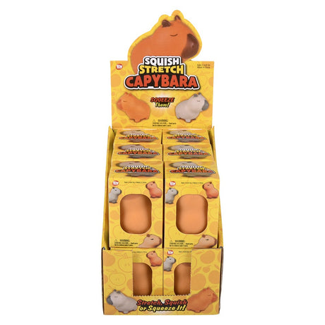 Capybara Squish & Stretch Fidget Toy (1 DSP)