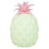 Squish and Stretch Pineapple Fidget Toy (1 DSP)
