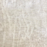 Cavour Solid Chenille Fabric - Solid Chenille, 55" Width (1 Yard)