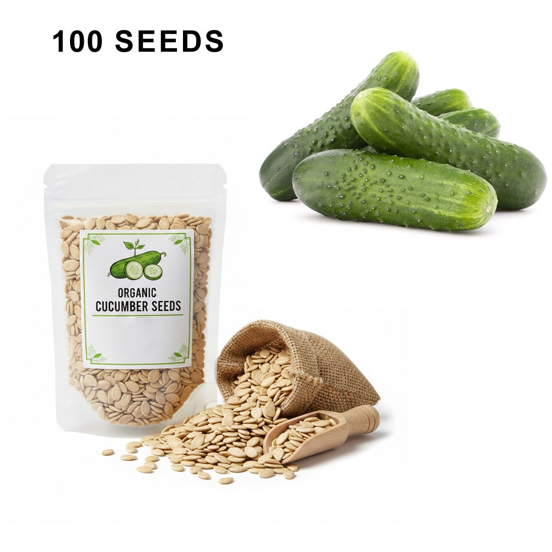 SMR 58 Cucumber Seeds Non GMO Vigorous Standard Pickling Cucumber Country Creek Acres