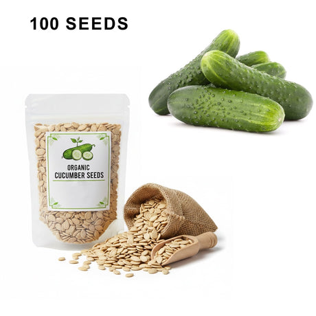 SMR 58 Cucumber Seeds Non GMO Vigorous Standard Pickling Cucumber Country Creek Acres