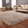 Hand-Tufted Luxe Shag Plush Rug Shag Rugs - Multicolored Plush Shag, 3" Pile (2' X 3')