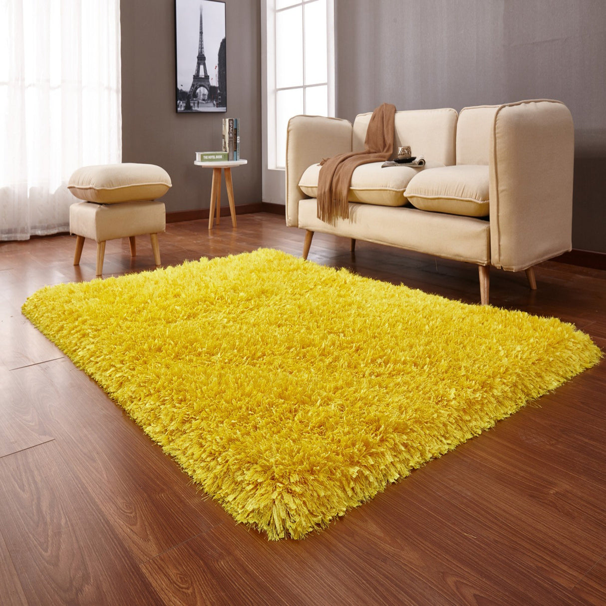 Hand-Tufted Luxe Shag Plush Rug Shag Rugs - Multicolored Plush Shag, 3" Pile (2' X 3')
