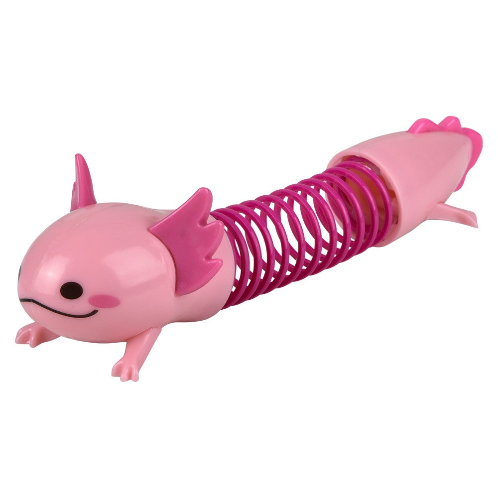 Axolotl Coil Spring (12 PC Display)