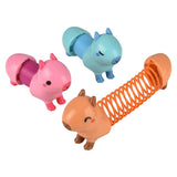 Capybara Coil Spring (12 PC Display)