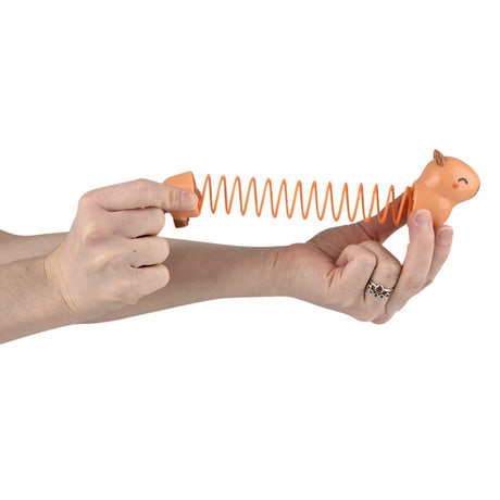 Capybara Coil Spring (12 PC Display)
