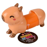 Capybara Coil Spring (12 PC Display)