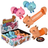 Capybara Coil Spring (12 PC Display)