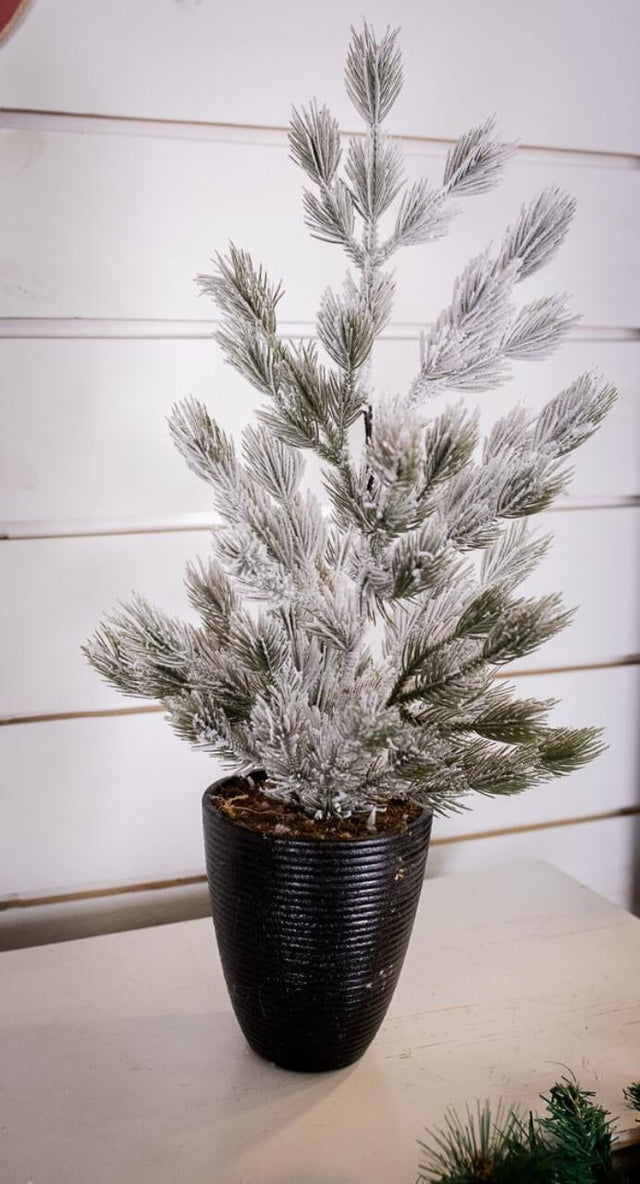 24" Snow Tree in Black Container