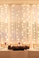 600 LED 24 Strand Twinkling Curtain Light Plug in