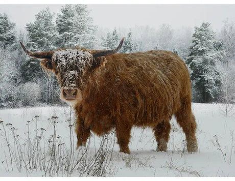 Cotton Panel Call of the Wild Spectrum Digital Print 42 x 32