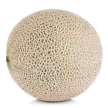 Cantaloupe
