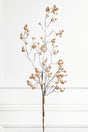 38” Champagne Gilded Frosted Crabapple Christmas Spray