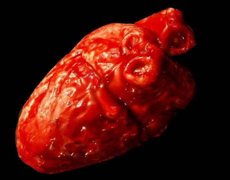 Heart Prop - The Bloody Organ Laboratory