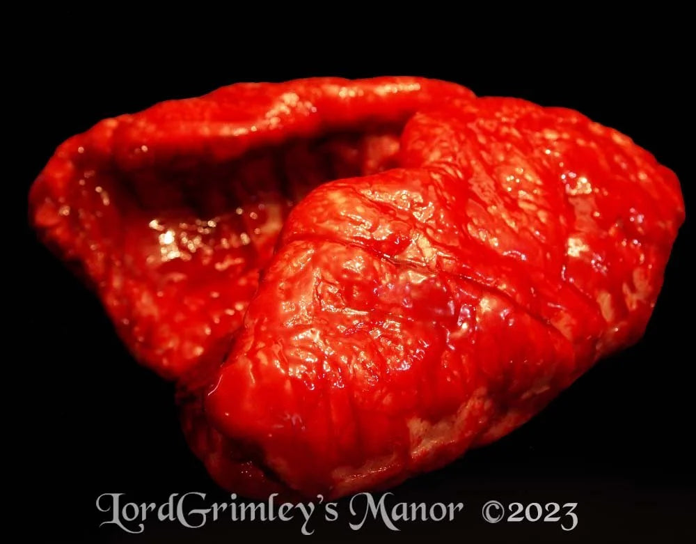 Lungs Prop - The Bloody Organ Laboratory