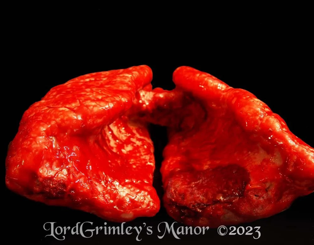 Lungs Prop - The Bloody Organ Laboratory