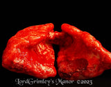 Lungs Prop - The Bloody Organ Laboratory