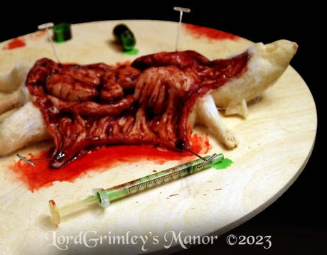 White Rat Autopsy Prop - The Bloody Organ Laboratory