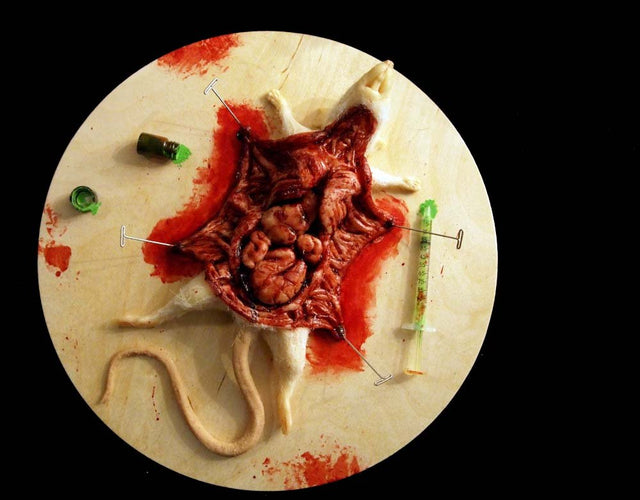 White Rat Autopsy Prop - The Bloody Organ Laboratory