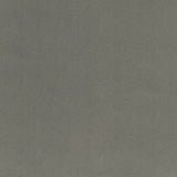 Charcoal Solid Minky Fabric 58/60"